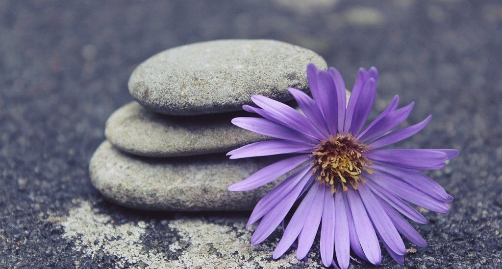 Welcome to Mind & Body Flex, reiki
